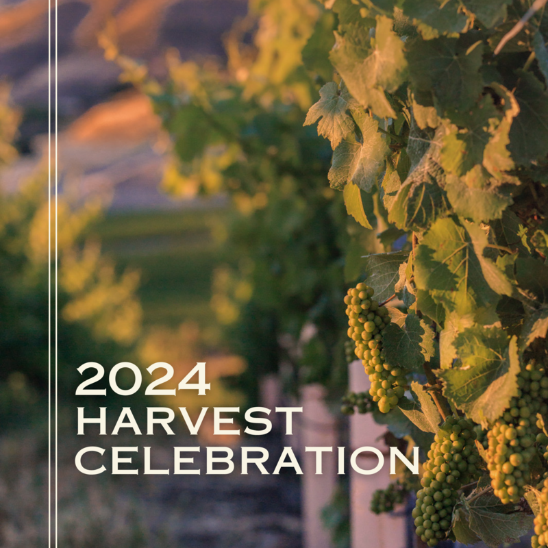 2024 Harvest Celebration image in the vines